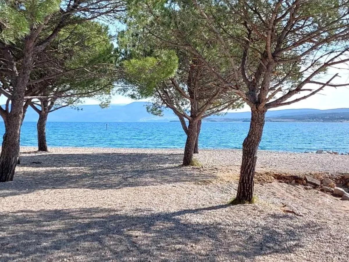 Apartment Roko - 150 M From The Beach Crikvenica